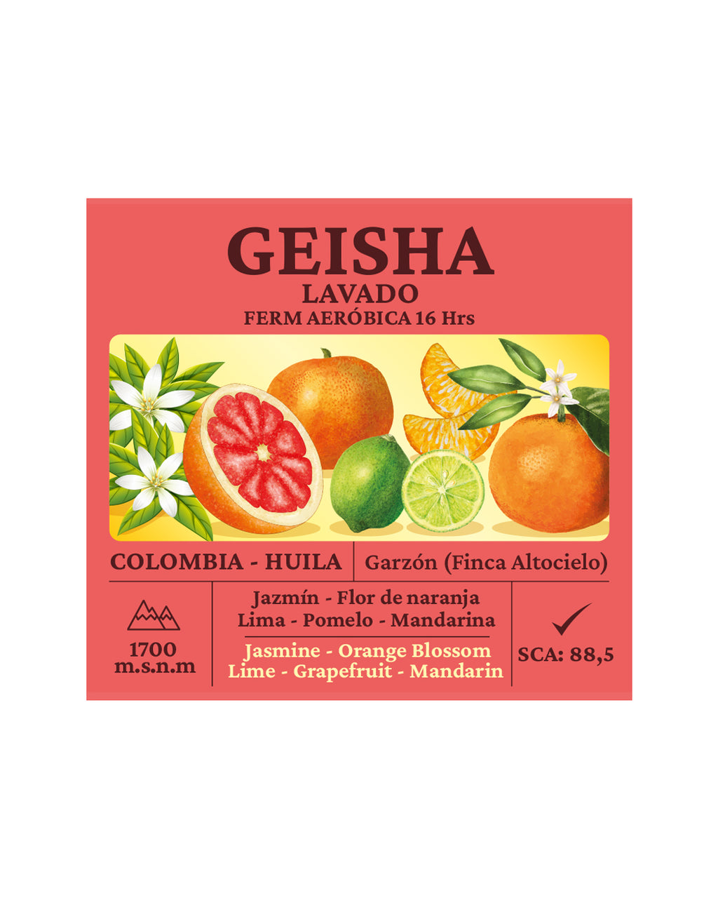 Geisha Lavado Colombia