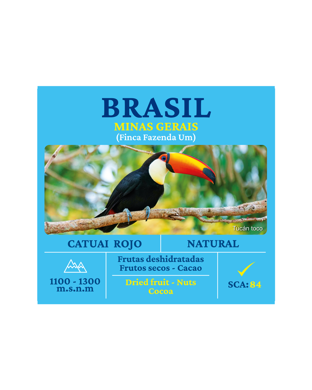 Catuai Rojo Br L