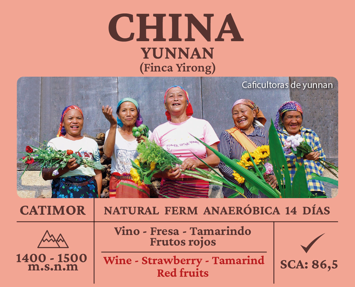 Catimor Natural China