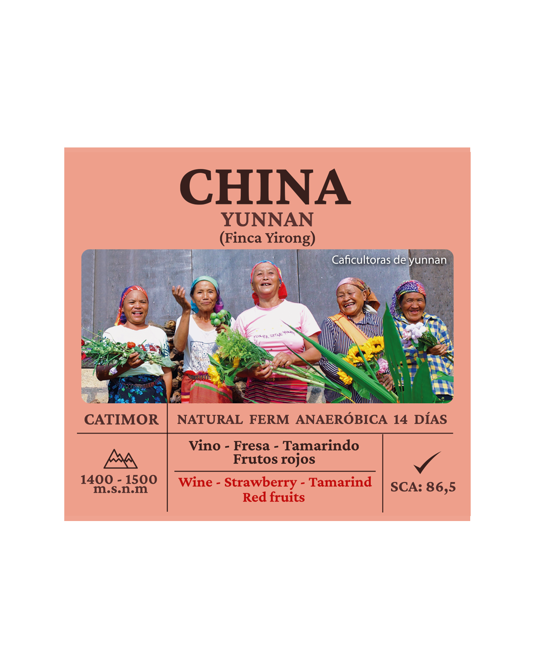 Catimor Natural China