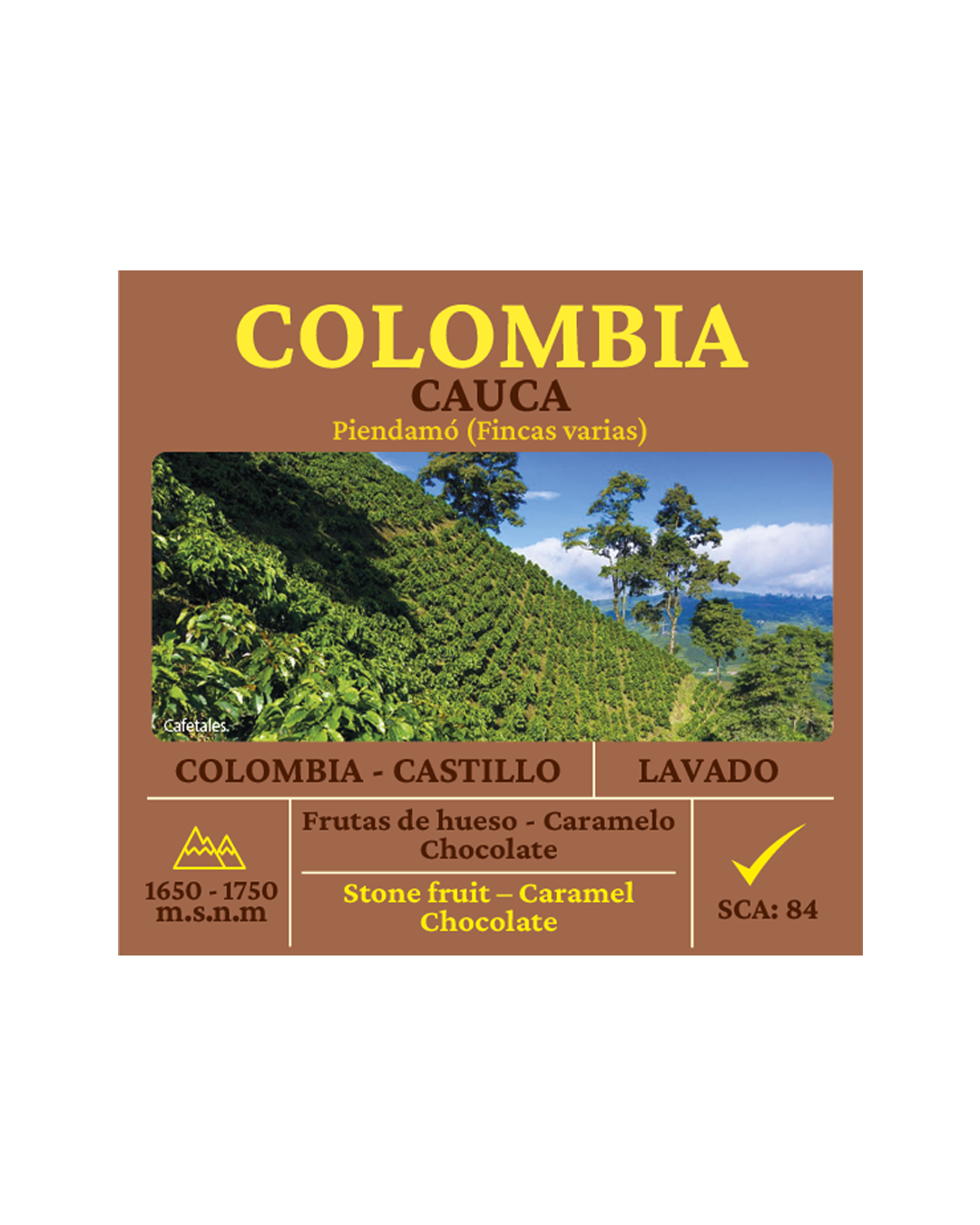 Castillo Lavado Cauca