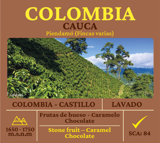 Castillo Lavado Cauca