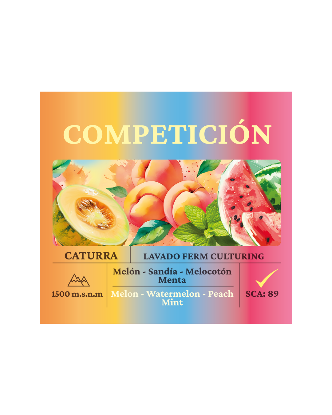 Competición