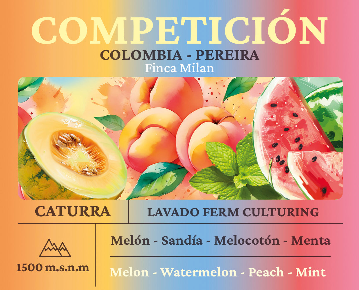 Competición