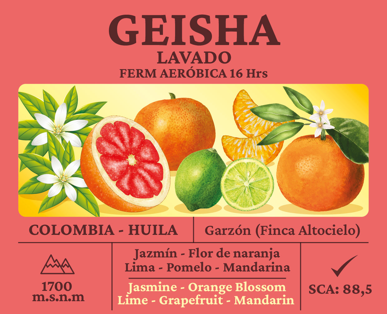 Geisha Lavado Colombia