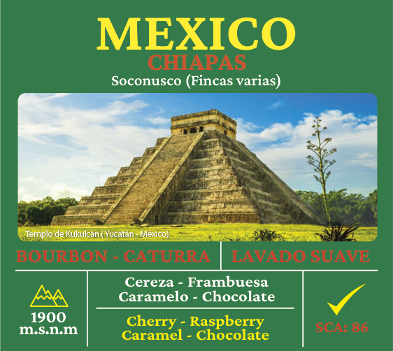 Bourbon Caturra Mx L