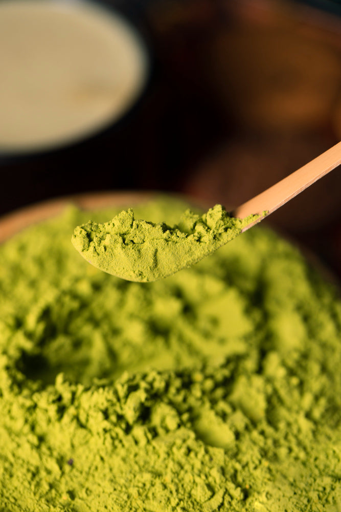 Matcha Chiyo Mukashi