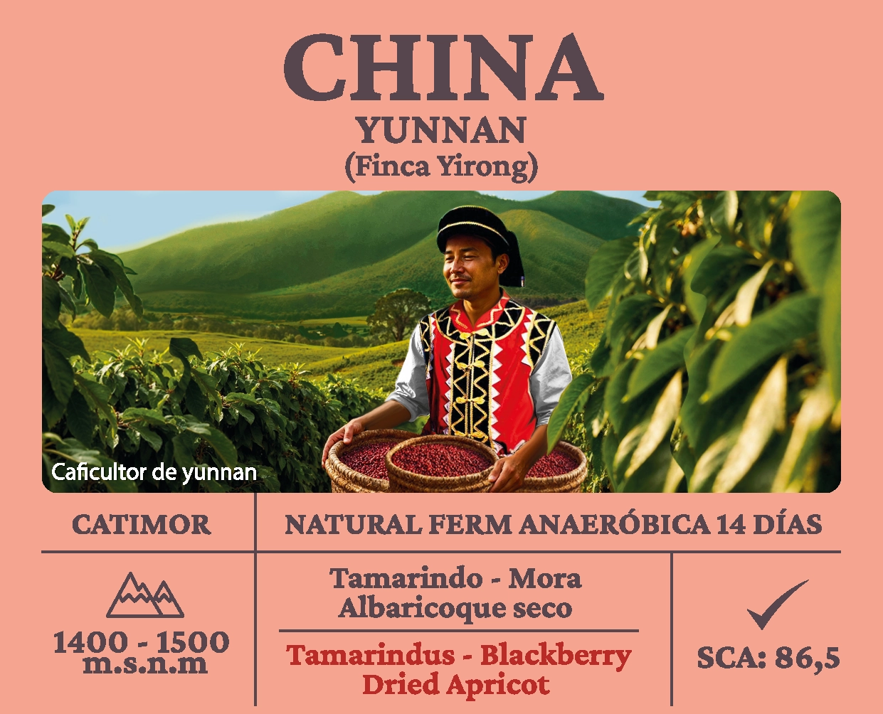 Etiqueta de café de especialidad China Yunnan de la tienda de café de especialidad, con caficultor sosteniendo canasta de cerezas de café en plantación.