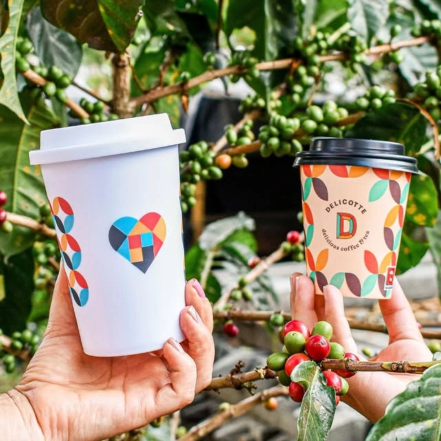 Manos sosteniendo vasos de café con diseño colorido de la tienda de café de especialidad, frente a planta de café con cerezas verdes y rojas.