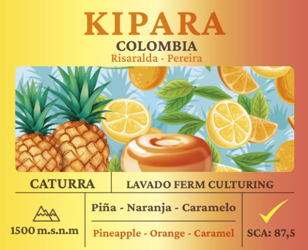 Kipara Piña Culturing - Imagen 2