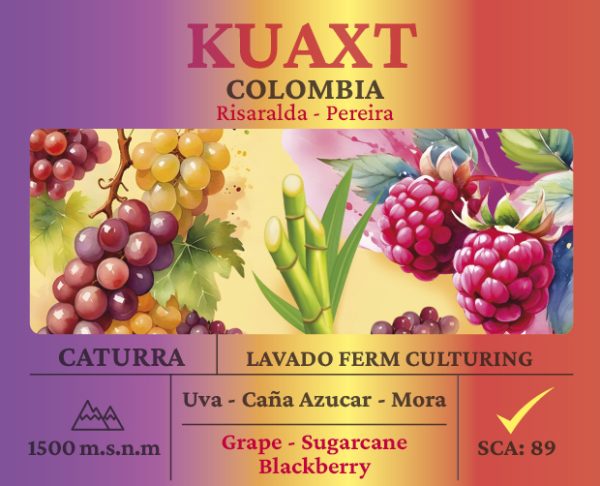Kuaxt Uva Culturing - Imagen 2