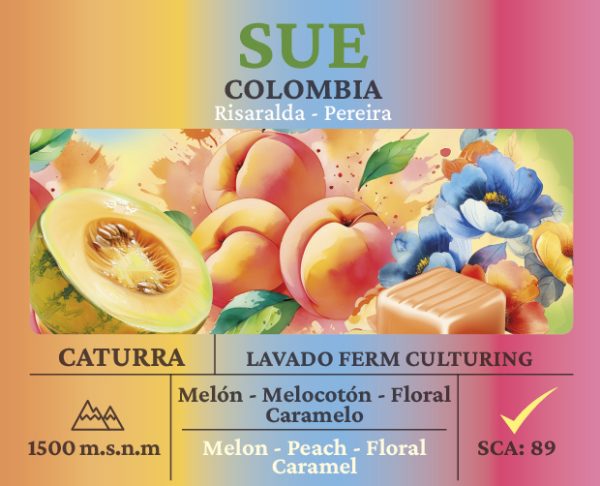 Sue Caturra Castillo Culturing - Imagen 2