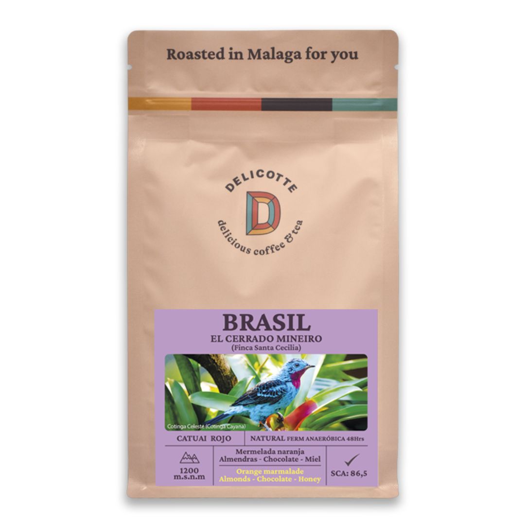 Brasil Catuaí Rojo Pack