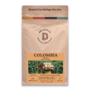 Colombia Cauca Castillo