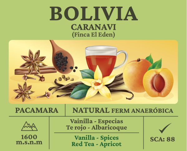 Bolivia Pacamara Natural - Imagen 2