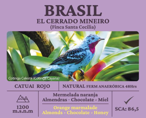Brasil Catuaí Rojo Pack - Imagen 2