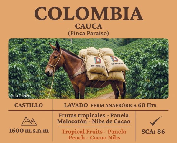 Colombia Cauca Castillo - Imagen 2