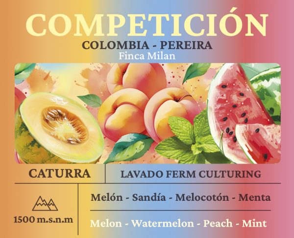 Competición - Imagen 2