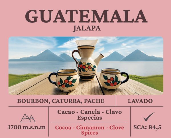 Guatemala Bourbon, Caturra y Pache - Imagen 2