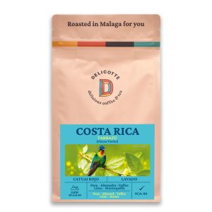 Catuai Rojo Costa Rica